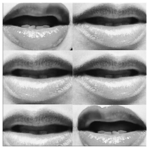Lippy Lips Black & White (Canvas Art Print)